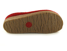 Load image into Gallery viewer, Haflinger Grizzly Kris Paprika
